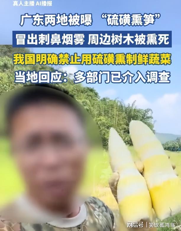 首发新一代展翼三折叠!华为Mate XT 2今日开启预定
